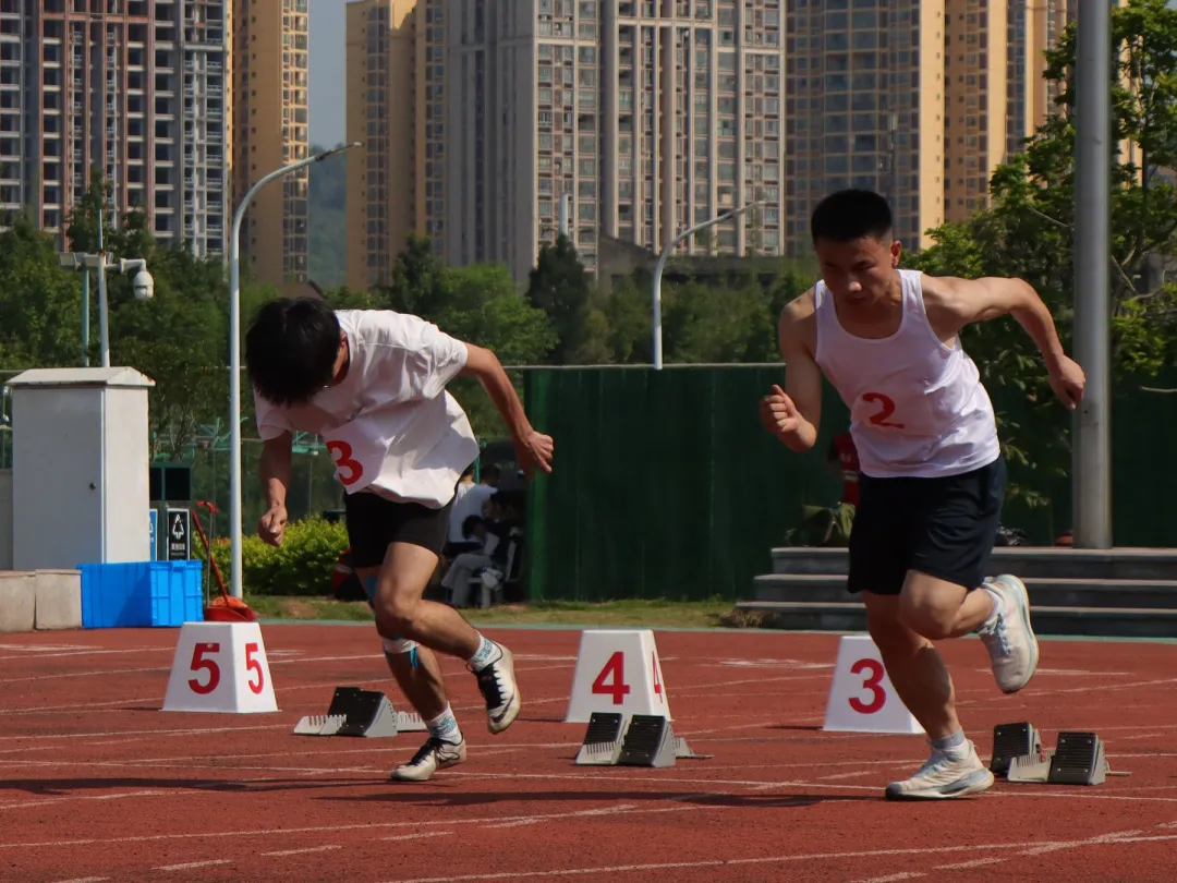 https://www.cqzhxy.cn/SITE_ATTACHE/www_cqzhxy_cn/2024-04-30/upload/image/20240430/1714461811926048347.png